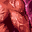 Zealot icon